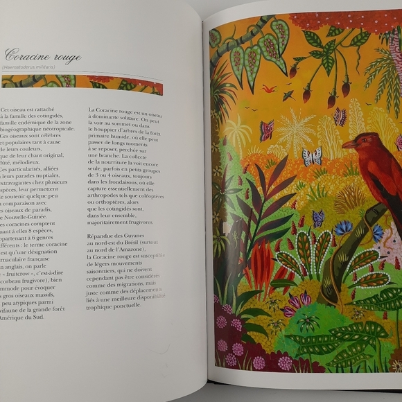 FRENCH BOOK + LITHOGRAPH Signed Alain Thomas Les Oiseaux d'Amerique du Sud Birds - Picture 6 of 14